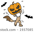 halloween, animal, animals 1937085