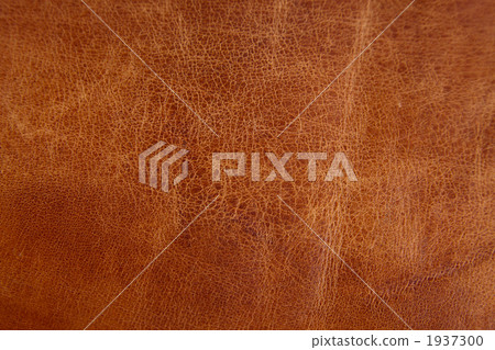 Nume leather leather leather leather goods natural leather beige 1937300