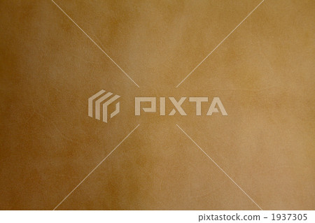 皮革皮革皮革天然皮革米色 皮革皮革皮革天然皮革米色 1937305