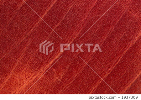 Oil leather leather leather leather goods natural leather red 1937309