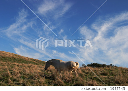 Autumn sky and Hakuba Autumn sky and Hakuba 1937545