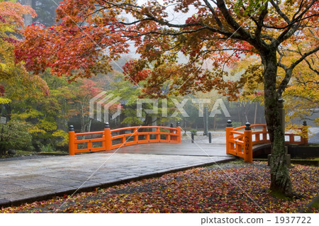 Koyasan Okunoin秋葉 1937722