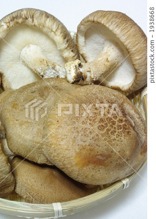 香菇 香菇 1938668