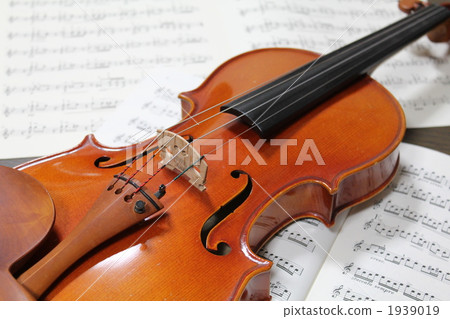 A violin 1939019