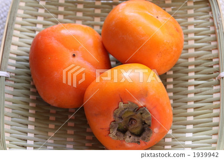 persimmon, fruit, fruits 1939942