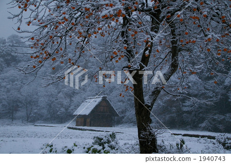 當第一場雪落下 1940743