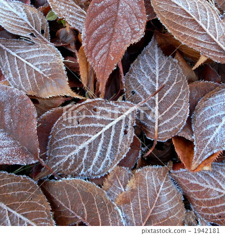 Below freezing morning 1942181