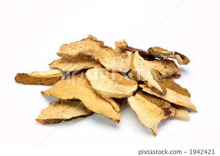 Porcini Porcini 1942421