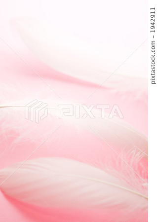 光炮 羽毛 羽衣 1942911