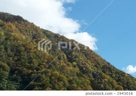 Hakusan晶石森林公路秋葉 1943016