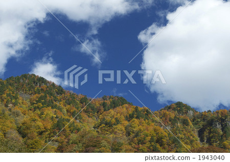 Hakusan晶石森林公路秋葉 1943040