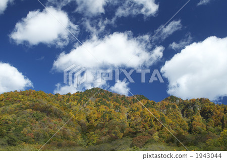 Hakusan晶石森林公路秋葉 1943044