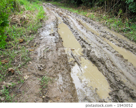 通往安博洛國家公園的路 1943052