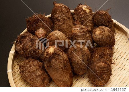 芋頭 1943537