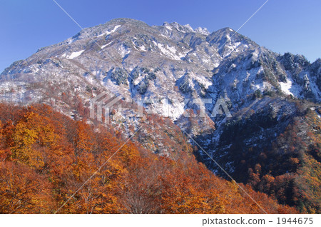 Autumn leaves of Mt. Hakkai 1944675