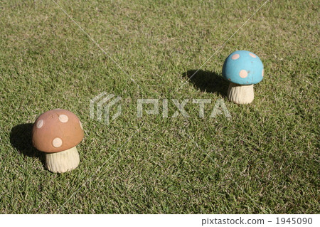 兩個草蘑菇 兩個草蘑菇 1945090
