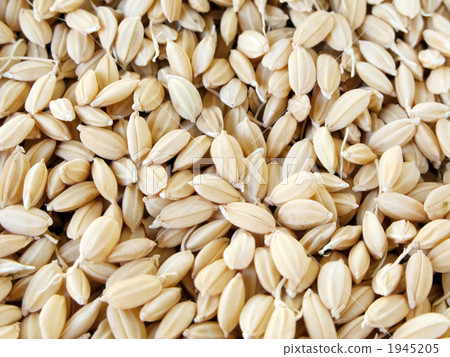 紋理米飯 1945205