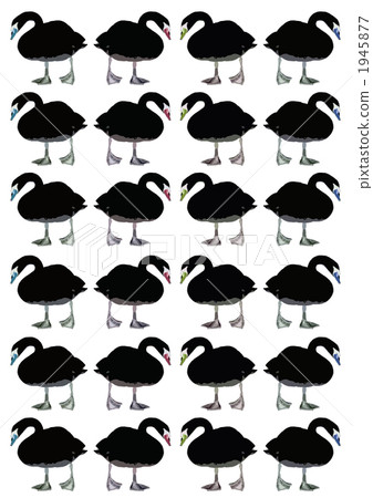 黑鳥 1945877