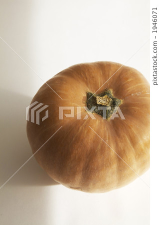 Pumpkin in autumn Pumpkin in autumn 1946071