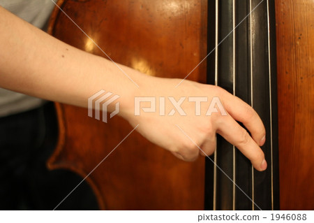低音提琴 手 器具 1946088