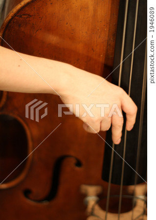 低音提琴 器具 儀器 1946089