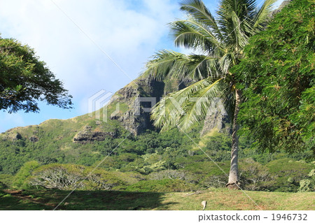 Kualoa Ranch Kualoa Ranch 1946732