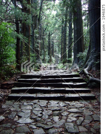 Kumano Kodo of World Heritage 1946875