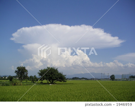 Clouds cloud / Kanato cloud Clouds cloud / Kanato cloud 1946959