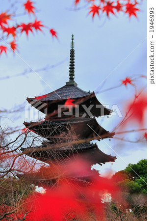 Autumn leaves of Toji Autumn leaves of Toji 1946993
