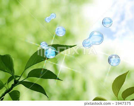 生態形象 1947375