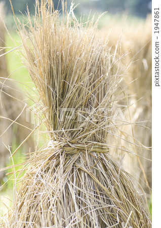 落下的立場 1947861