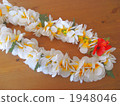 Ray Plumeria 1948046