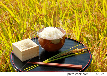 Rice field with rice field and meal 1948174