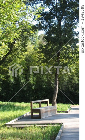 wood bench, wooden path, forest 1948599