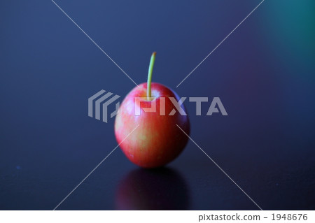 楸子 蘋果 觀賞使用 1948676