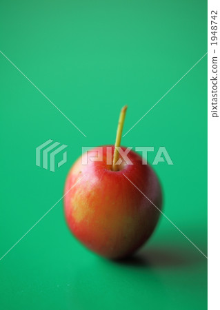 楸子 蘋果 觀賞使用 1948742