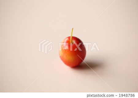 楸子 蘋果 觀賞使用 1948786