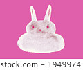 Rabbit  1949974