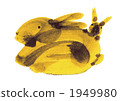 Rabbit  1949980