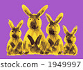 Rabbit  1949997