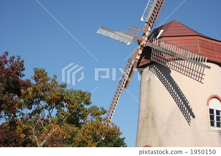 Windmill and autumn leaves 1950150