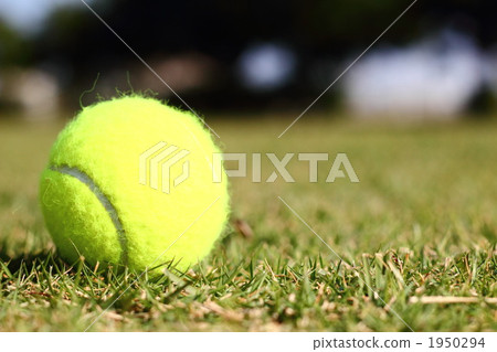 Tennis Tennis 1950294