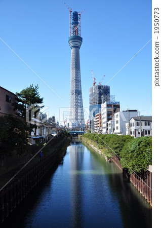 Sky tree Sky tree 1950773
