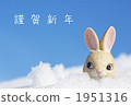 Snow and a rabbit 1951316