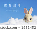 Snow and a rabbit 1951452
