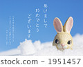 Snow and a rabbit 1951457
