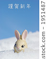 Snow and a rabbit 1951487