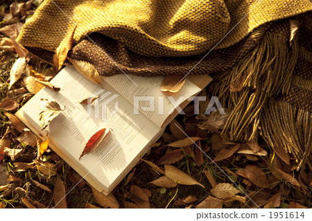 Reading 1951614