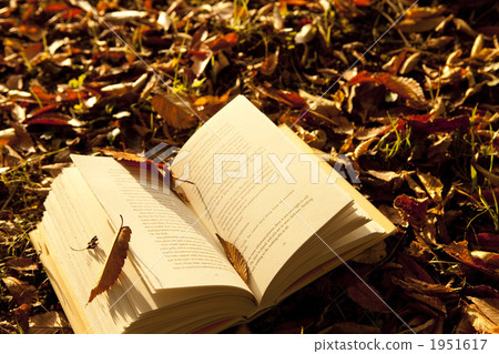 閱讀 閱讀 1951617