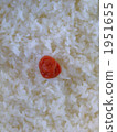 飯 1951655